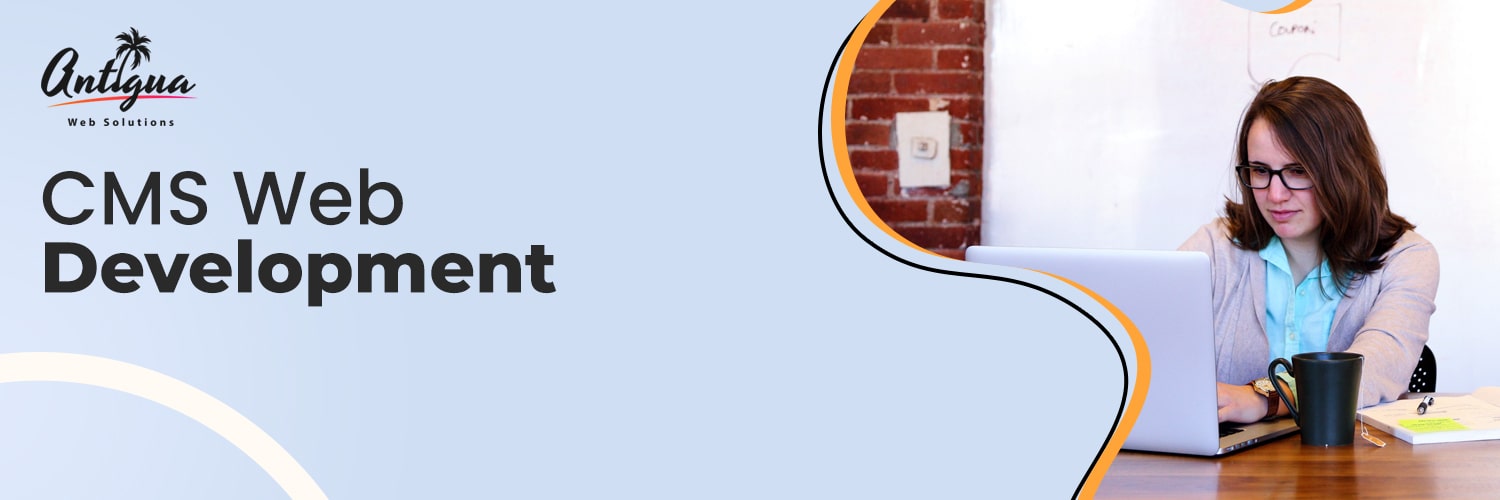 CMS Development Services New York | Antigua Web Solutions