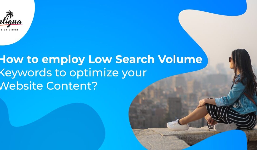 How to employ Low Search Volume Keywords to optimize your Website Content?