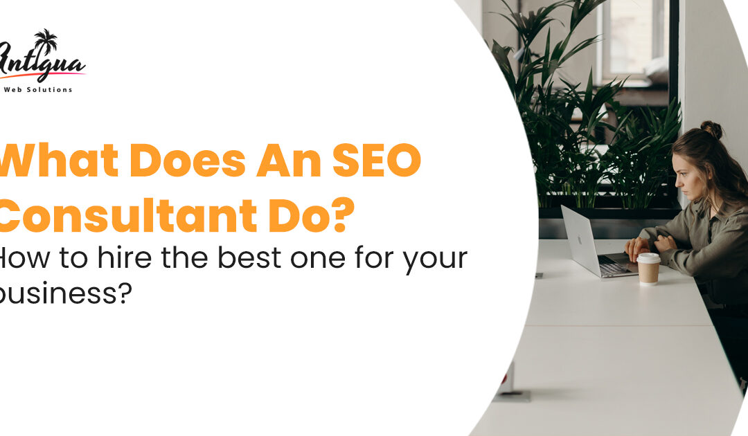 What Does An SEO Consultant Do? How to hire the best one for your business?